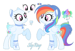 Size: 3981x2700 | Tagged: safe, artist:lighteespark, artist:moonlightshineyt123, derpibooru import, oc, oc only, oc:sky ring, pegasus, pony, g4, base used, female, high res, mare, offspring, parent:rainbow dash, parent:soarin', parents:soarindash, reference sheet, simple background, solo, transparent background