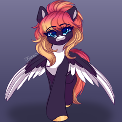 Size: 2000x2000 | Tagged: safe, artist:skyboundsiren, derpibooru import, oc, oc only, oc:sunrise virtue, pegasus, bangs, female, gradient background, looking at you, signature, sketch, smiling, solo, spread wings, wings