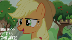 Size: 2000x1125 | Tagged: safe, derpibooru import, edit, edited screencap, editor:quoterific, screencap, applejack, g4, sounds of silence, solo