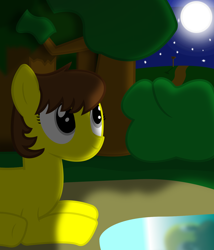 Size: 1300x1520 | Tagged: safe, artist:cardshark777, derpibooru import, oc, oc only, oc:liz (cardshark777), earth pony, earth pony oc, forest, looking up, lying down, missing accessory, moon, nature, night, pond, reflection, road sign, shading, solo, stars, tree, water, yellow pony