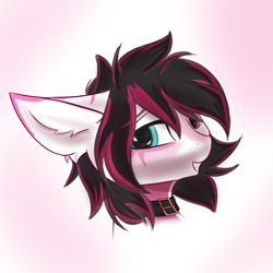 Size: 3000x3000 | Tagged: safe, artist:gooseshit, derpibooru import, oc, oc:lunylin, pegasus, pony, bust, collar, ear fluff, ears, heterochromia, portrait, solo, two toned mane