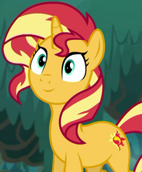 Size: 831x1003 | Tagged: safe, derpibooru import, edit, edited screencap, editor:twilyisbestpone, screencap, sunset shimmer, pony, unicorn, better together, equestria girls, g4, spring breakdown, cropped, cute, female, inverted mouth, mare, shimmerbetes, smiling, solo