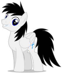 Size: 3746x4413 | Tagged: safe, artist:creedyboy124, derpibooru import, oc, oc only, oc:shane park, pegasus, pony, male, simple background, smiling, solo, stallion, transparent background