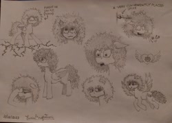 Size: 4074x2918 | Tagged: artist needed, oc name needed, safe, derpibooru import, oc, oc only, pegasus, pony, :3, black and white, confused, curly hair, date (time), ears back, facehoof, grayscale, heart, monochrome, pegasus oc, pencil drawing, photo, ponysona, shocked, signature, simple background, sketch, sketch dump, text, tired, traditional art, white background