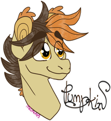 Size: 1280x1394 | Tagged: safe, artist:mrufka69, derpibooru import, oc, oc only, oc:pumpkin, pony, bust, male, portrait, simple background, solo, stallion, transparent background