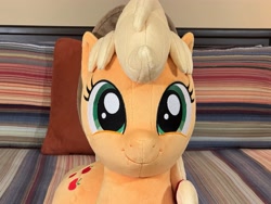 Size: 4032x3024 | Tagged: safe, artist:littlefairyswonders, derpibooru import, applejack, earth pony, pony, g4, applejack's hat, clothes, cowboy hat, cute, female, hat, indoors, irl, jackabetes, looking at you, lying down, photo, plushie, silly, silly pony, solo, who's a silly pony