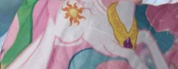 Size: 720x281 | Tagged: safe, derpibooru import, princess celestia, alicorn, blanket, body, irl, photo