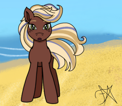 Size: 4000x3495 | Tagged: safe, artist:dawkinsdalmatian, derpibooru import, horse, beach, female, solo, tilly (wild manes), wild manes