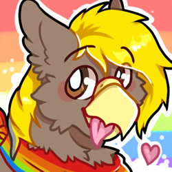 Size: 500x500 | Tagged: safe, artist:lovelock, derpibooru import, oc, oc:pad, griffon, :p, bandana, bust, griffon oc, portrait, pride, pride flag, solo, tongue, tongue out