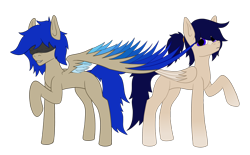 Size: 3218x1993 | Tagged: safe, artist:duskendraws, derpibooru exclusive, derpibooru import, oc, oc only, oc:duraesmia, oc:nardaem, pegasus, pony, blindfold, brother and sister, female, male, siblings, simple background, transparent background, twins