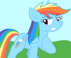 Size: 931x756 | Tagged: safe, artist:cmara, derpibooru import, rainbow dash, pegasus, g4, female, solo