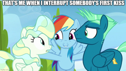 Size: 2966x1667 | Tagged: safe, derpibooru import, edit, edited screencap, screencap, rainbow dash, sky stinger, vapor trail, pegasus, pony, g4, top bolt, caption, female, image macro, imgflip, inconvenient rainbow dash, male, mare, meme, outdoors, ship:vaporsky, shipping, stallion, straight, text, trio