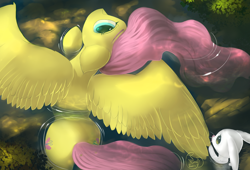 Size: 4400x3000 | Tagged: safe, artist:auroriia, derpibooru import, angel bunny, fluttershy, pegasus, pony, rabbit, g4, animal, both cutie marks, duo, ears, female, floppy ears, high res, mare, outdoors, overhead view, partially submerged, spread wings, tail, wings