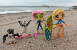 Size: 1107x722 | Tagged: safe, artist:dingopatagonico, derpibooru import, applejack, fluttershy, bird, human, penguin, equestria girls, g4, argentina, gender equality, gentoo penguin, photo, rockhopper penguin, south america, surf's up, surfboard