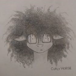 Size: 3060x3060 | Tagged: safe, artist:curly horse, derpibooru import, oc, oc only, oc:curly, pegasus, pony, curly hair, curly mane, ears, floppy ears, hair over eyes, male, pegasus oc, pencil drawing, stallion, stare, thousand yard stare, traditional art, vent art