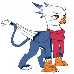 Size: 1614x1614 | Tagged: safe, artist:v_nico_, derpibooru import, oc, oc only, oc:windchaser, griffon, beak, blue feather, clothes, feather, griffon oc, red scarf, scarf, simple background, sketch, solo, talons, white background