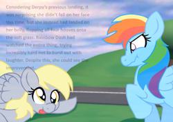 Size: 2555x1800 | Tagged: safe, artist:chaosimp2006, derpibooru import, derpy hooves, rainbow dash, pegasus, g4, background, duo, female, lying down, narration, outdoors, raised hoof, raised leg, roblox, show accurate, stifling laughter