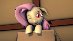 Size: 1920x1080 | Tagged: safe, artist:scorpdk, derpibooru import, fluttershy, bat pony, pony, g4, 3d, bat ponified, box, cardboard box, cute, female, flutterbat, looking at you, mare, one eye closed, pony in a box, race swap, shyabates, shyabetes, source filmmaker, tongue, tongue out, wink, winking at you