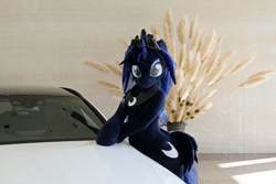 Size: 1200x800 | Tagged: safe, derpibooru import, princess luna, 2017, car, fursuit, indoors, irl, jewelry, photo, ponysuit, regalia, solo