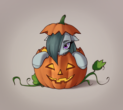 Size: 3100x2786 | Tagged: safe, artist:aquaticvibes, derpibooru import, marble pie, earth pony, pony, g4, fangs, female, hair over one eye, halloween, holiday, jack-o-lantern, mare, pumpkin, simple background, solo