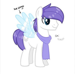 Size: 640x640 | Tagged: safe, derpibooru import, oc, oc only, oc:arctic ace, pegasus, pony, clothes, cutie mark, ice, ice wings, male, scarf, simple background, solo, white background