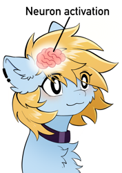 Size: 1858x2626 | Tagged: safe, artist:gale spark, derpibooru import, oc, oc only, oc:gale spark, pony, :3, blushing, brain, cheek fluff, chest fluff, cute, ear fluff, ear piercing, ears, funny, meme, neuron activation, organs, piercing, simple background, smiling, solo, white background