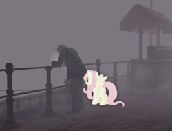 Size: 750x569 | Tagged: safe, derpibooru import, fluttershy, human, pegasus, pony, contrast, crossover, duo, female, game screencap, james sunderland, mare, rear view, silent hill