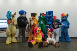 Size: 1200x800 | Tagged: oc name needed, safe, artist:atalonthedeer, derpibooru import, derpy hooves, fluttershy, princess skystar, rainbow dash, oc, oc:collar dash, oc:kazagh, human, 2018, eurofurence, fursuit, group photo, indoors, irl, irl human, photo, plushie, ponysuit