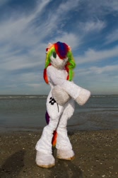 Size: 600x900 | Tagged: safe, derpibooru import, oc, oc only, oc:collar dash, 2018, beach, flüüfff, fursuit, irl, photo, ponysuit, sand, seaside, solo