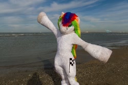 Size: 1200x800 | Tagged: safe, derpibooru import, oc, oc only, oc:collar dash, 2018, beach, flüüfff, fursuit, irl, photo, ponysuit, sand, seaside, solo, spread arms