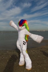 Size: 600x900 | Tagged: safe, derpibooru import, oc, oc only, oc:collar dash, 2018, beach, flüüfff, fursuit, irl, photo, ponysuit, sand, seaside, solo, spread arms