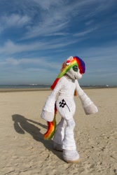 Size: 600x900 | Tagged: safe, derpibooru import, oc, oc only, oc:collar dash, 2018, beach, flüüfff, fursuit, irl, photo, ponysuit, sand, seaside, solo