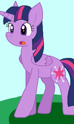 Size: 640x1064 | Tagged: safe, artist:cmara, derpibooru import, twilight sparkle, twilight sparkle (alicorn), alicorn, g4, female, solo, solo female