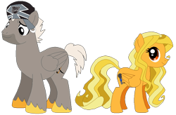 Size: 782x512 | Tagged: safe, artist:meghan12345, derpibooru import, pegasus, pony, g4, angry birds, duo, duo male and female, female, folded wings, hat, hockey bird, male, mare, not an oc, ponified, recolor, shakira, shakira (angry birds), simple background, smiling, species swap, stallion, transparent background, wings