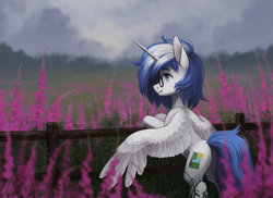 Size: 2747x2000 | Tagged: safe, artist:koviry, derpibooru import, oc, oc only, alicorn, pony, alicorn oc, concave belly, fence, field, flower, high res, horn, overcast, solo, wings