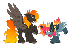 Size: 7909x5008 | Tagged: safe, artist:crazysketch101, derpibooru import, oc, oc only, oc:ashton burnside, oc:crazy looncrest, pegasus, pony, chest fluff, derp, duo, ear fluff, ears, eye clipping through hair, fluffy, goofy, ship:burncrest, simple background, smiling, transparent background