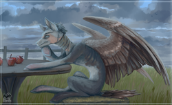 Size: 1280x776 | Tagged: safe, artist:afialtis, derpibooru import, oc, oc only, pegasus, pony, apple, bandage, concave belly, food, human shoulders, male, ribs, sitting, skinny, solo, spread wings, stallion, table, thin, wings