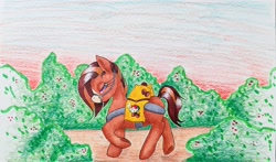 Size: 2096x1234 | Tagged: safe, artist:mintytreble, derpibooru import, earth pony, hybrid, mule, pony, coffee, colombia, reins, solo, traditional art