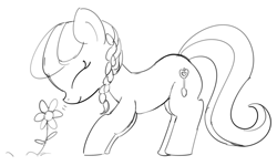 Size: 1713x1031 | Tagged: safe, artist:templatepony, derpibooru import, silver spoon, earth pony, pony, g4, eyes closed, female, filly, flower, foal, simple background, sketch, sniffing, solo, white background