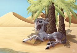 Size: 5149x3561 | Tagged: safe, artist:sadatrix, derpibooru import, oc, oc:seriara, earth pony, pony, absurd resolution, female, fluffy, lying down, mare, outdoors, palm tree, prone, solo, thin, tree