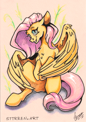 Size: 3456x4904 | Tagged: safe, artist:stirren, derpibooru import, fluttershy, pegasus, full body, looking at you, scan, traditional art, wings