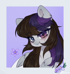 Size: 684x722 | Tagged: safe, artist:_spacemonkeyz_, derpibooru import, oc, oc only, pegasus, pony, abstract background, blushing, eyebrows, eyebrows visible through hair, female, flower, heterochromia, mare, passepartout, signature, solo