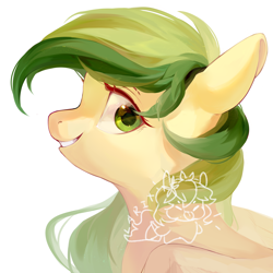 Size: 2000x2000 | Tagged: safe, artist:larix-u, derpibooru import, oc, oc only, pegasus, pony, bust, female, mare, simple background, solo, white background