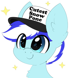 Size: 2424x2685 | Tagged: safe, artist:pegamutt, derpibooru import, oc, oc only, oc:snowy pop, pegasus, pony, blue eyes, bust, chest fluff, commission, cute, cutest snow pone, ear fluff, ears, happy, hat, male, pegasus oc, simple background, smiling, solo, solo male, two toned mane, ych result