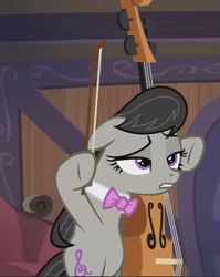 Size: 573x721 | Tagged: safe, derpibooru import, screencap, octavia melody, earth pony, pony, g4, season 5, slice of life (episode), bipedal, cello, cropped, disappointed, lidded eyes, musical instrument, solo