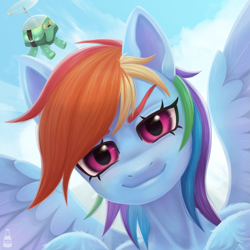 Size: 1919x1919 | Tagged: safe, artist:k1f1r, derpibooru import, rainbow dash, tank, pegasus, pony, tortoise, g4, bust, cloud, collarbone, duo, female, fluffy, flying, human shoulders, humanoid torso, looking at you, mare, outdoors, portrait, signature, sky, smiling, smug, sternocleidomastoid