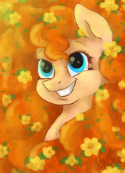 Size: 2087x2873 | Tagged: safe, artist:spacesheep-art, derpibooru import, pear butter, earth pony, pony, g4, the perfect pear, female, huge mane, impossibly large mane, mare, smiling, solo