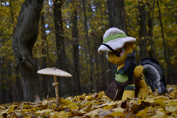 Size: 1095x730 | Tagged: safe, artist:mgrdash, derpibooru import, daring do, pegasus, pony, autumn, clothes, daring dorable, forest, irl, mushroom, nature, outdoors, photo, pith helmet, plushie, ponies in real life, shirt, tree