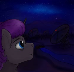 Size: 2560x2475 | Tagged: safe, artist:coffee_caramel, derpibooru import, oc, oc:farman royce, unicorn, blue eyes, colored, dark sky, grey skin, horn, male, mountain, night, purple mane, radio telescope, river, sky, solo, stallion, star sky, stars, voice of the void, water