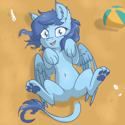 Size: 5120x5120 | Tagged: safe, artist:pzkratzer, derpibooru import, oc, oc:night cloud, sphinx, beach, beach ball, belly, belly button, feathered wings, featureless crotch, female, folded wings, lying down, messy, on back, partially open wings, paws, sand, shell, solo, sphinx oc, underpaw, wings